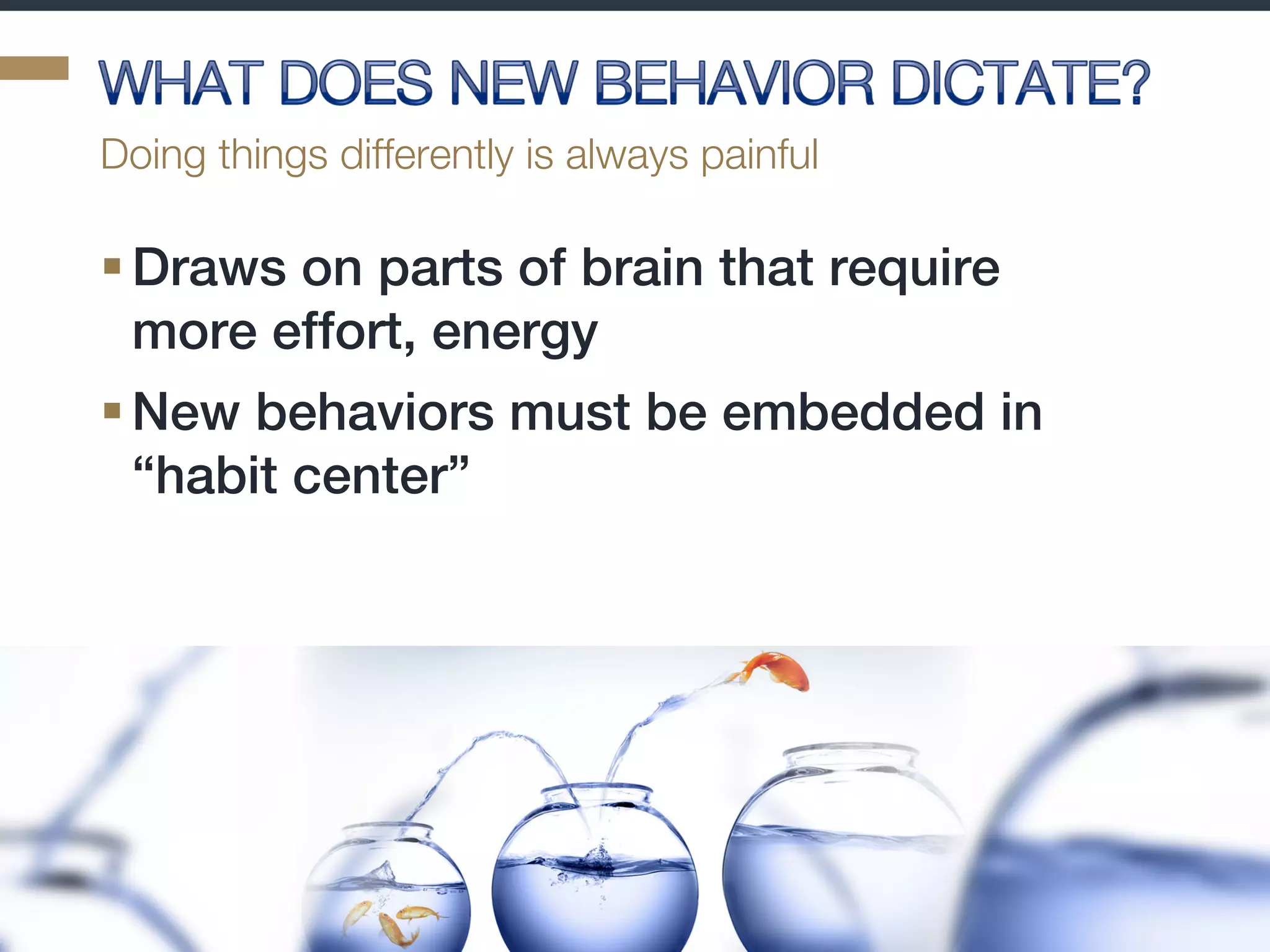 2. Emotion v Rationality Can Be a False Choice
Michael Netzley, PhD. 2016
 
