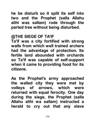 Biography of Prophet Muhammad (A Millennium or Journey of a Lifetime with the Prophet)