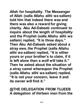 Biography of Prophet Muhammad (A Millennium or Journey of a Lifetime with the Prophet)