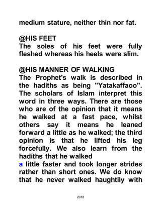 Biography of Prophet Muhammad (A Millennium or Journey of a Lifetime with the Prophet)