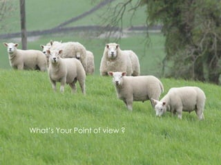 What’s Your Point of view ?
 