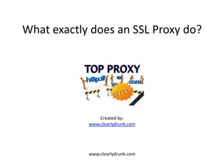 What exactly does an SSL Proxy do?




                Created by:
            www.clearlydrunk.com




            www.clearlydrunk.com
 