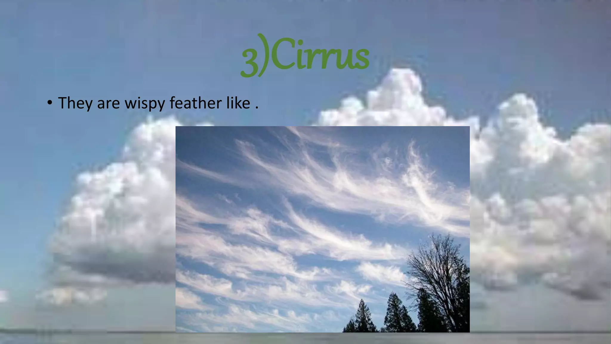3)Cirrus
• They are wispy feather like .
 