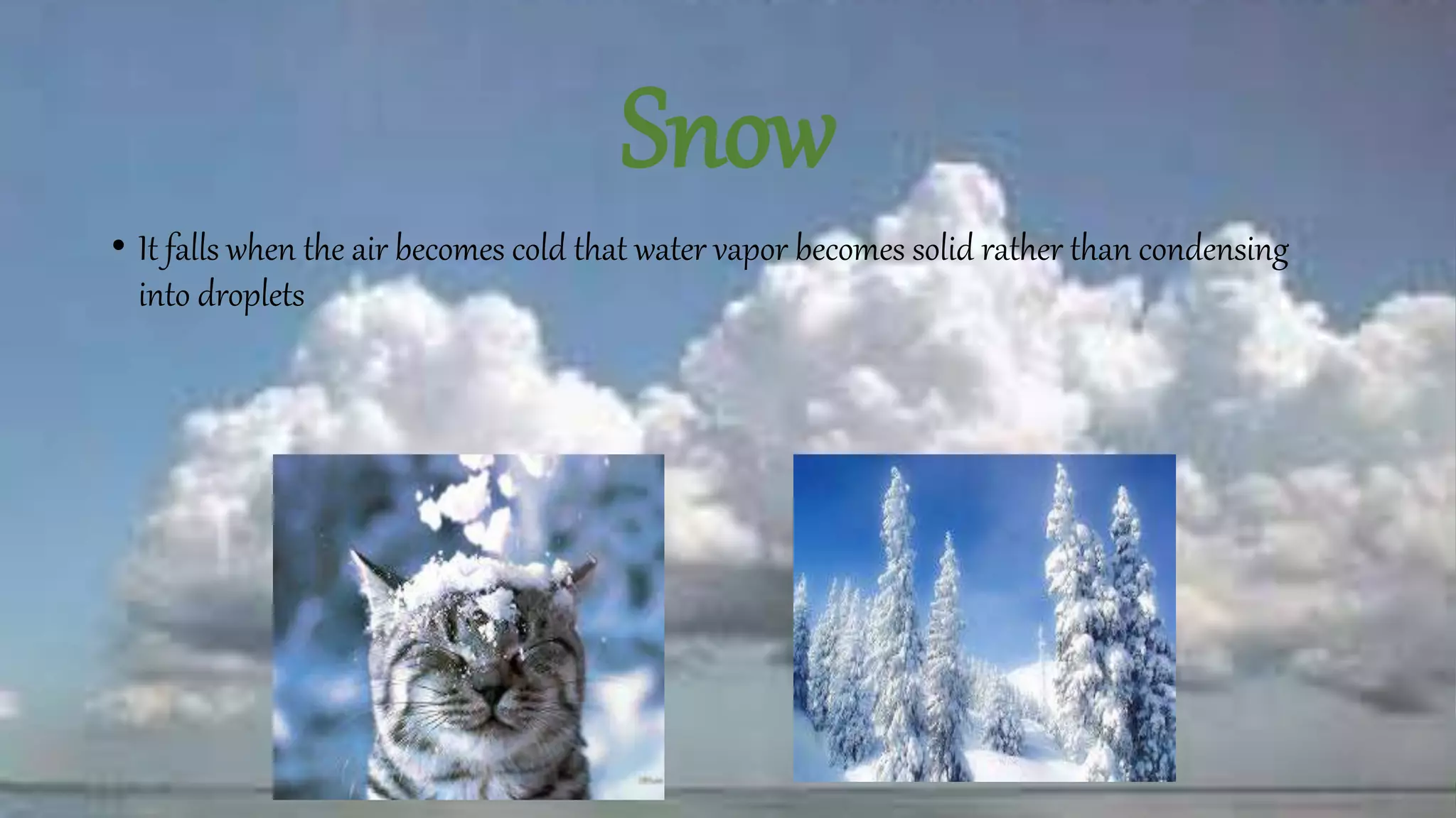 Snow
• It falls when the air becomes cold that water vapor becomes solid rather than condensing
into droplets
 