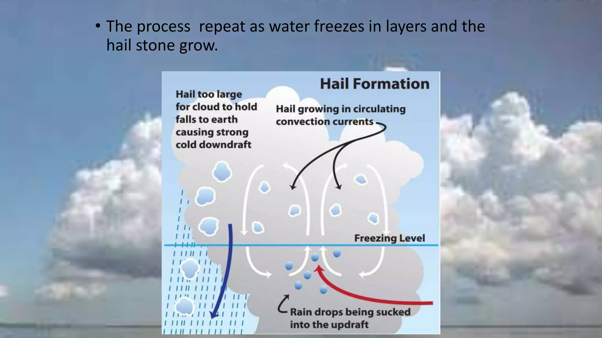 • The process repeat as water freezes in layers and the
hail stone grow.
 