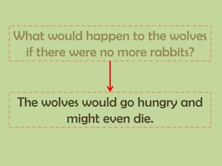 What would happen to the wolves
if there were no more rabbits?
The wolves would go hungry and
might even die.
 