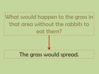 What would happen to the grass in
that area without the rabbits to
eat them?
The grass would spread.
 
