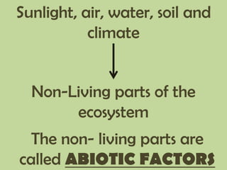 Sunlight, air, water, soil and
climate
Non-Living parts of the
ecosystem
The non- living parts are
called ABIOTIC FACTORS
 