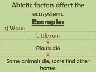 Abiotic factors affect the
ecosystem.
Example:
1) Water
Little rain
Plants die
Some animals die, some find other
homes
 