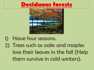 Deciduous forests
1) Have four seasons.
2) Trees such as oaks and maples
lose their leaves in the fall (Help
them survive in cold winters).
 