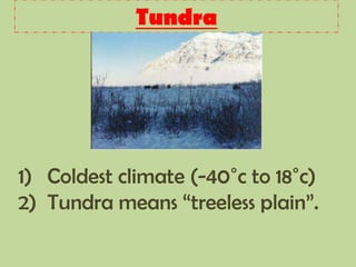 Tundra
1) Coldest climate (-40˚c to 18˚c)
2) Tundra means “treeless plain”.
 
