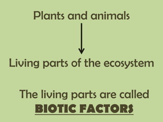 Plants and animals
Living parts of the ecosystem
The living parts are called
BIOTIC FACTORS
 