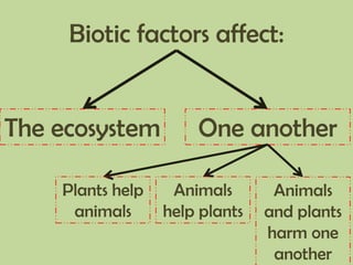 Biotic factors affect:
The ecosystem One another
Plants help
animals
Animals
help plants
Animals
and plants
harm one
another
 