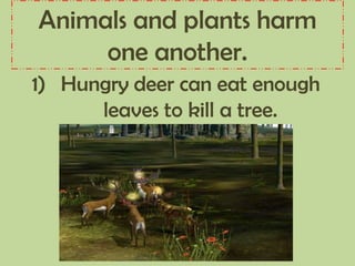 Animals and plants harm
one another.
1) Hungry deer can eat enough
leaves to kill a tree.
 