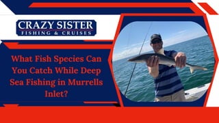 What Fish Species Can
You Catch While Deep
Sea Fishing in Murrells
Inlet?
 