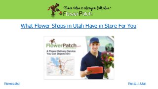 What Flower Shops in Utah Have in Store For You

Flowerpatch

Florist in Utah

 