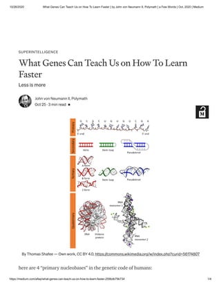 10/26/2020 What Genes Can Teach Us on How To Learn Faster | by John von Neumann II, Polymath | a Few Words | Oct, 2020 | Medium
https://medium.com/afwp/what-genes-can-teach-us-on-how-to-learn-faster-259bdb79b734 1/4
SUPERINTELLIGENCE
What Genes Can Teach Us on How To Learn
Faster
Less is more
John von Neumann II, Polymath
Oct 25 · 3 min read
By Thomas Shafee — Own work, CC BY 4.0, https://commons.wikimedia.org/w/index.php?curid=56174807
here are 4 “primary nucleobases” in the genetic code of humans:
 