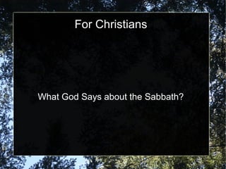 For Christians




What God Says about the Sabbath?
 