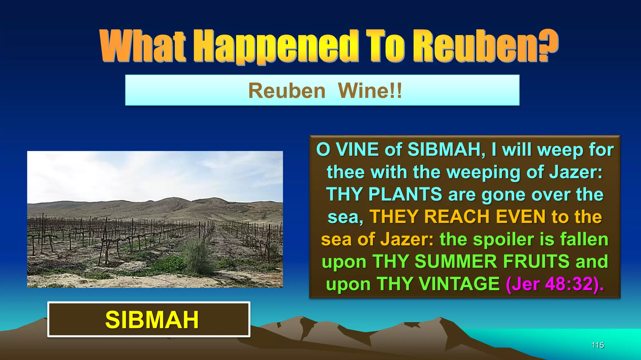115
Reuben Wine!!
O VINE of SIBMAH, I will weep for
thee with the weeping of Jazer:
THY PLANTS are gone over the
sea, THEY REACH EVEN to the
sea of Jazer: the spoiler is fallen
upon THY SUMMER FRUITS and
upon THY VINTAGE (Jer 48:32).
SIBMAH
 