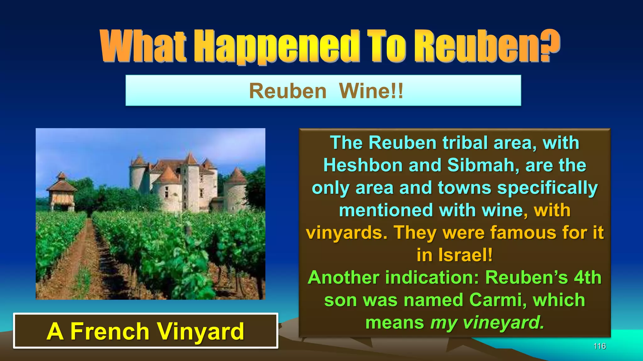 116
Reuben Wine!!
The Reuben tribal area, with
Heshbon and Sibmah, are the
only area and towns specifically
mentioned with wine, with
vinyards. They were famous for it
in Israel!
Another indication: Reuben’s 4th
son was named Carmi, which
means my vineyard.
A French Vinyard
 