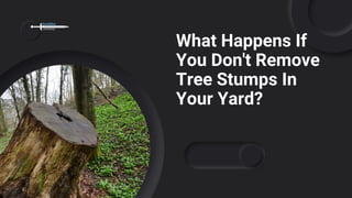 What Happens If
You Don't Remove
Tree Stumps In
Your Yard?
 