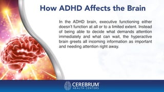 How ADHD Affects the Brain
In the ADHD brain, executive functioning either
doesn’t function at all or to a limited extent. Instead
of being able to decide  what demands attention
immediately and what can wait, the hyperactive
brain greets all incoming information as important
and needing attention right away.
 