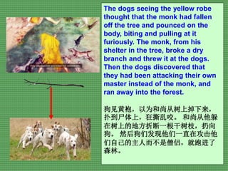5
The dogs seeing the yellow robe
thought that the monk had fallen
off the tree and pounced on the
body, biting and pulling at it
furiously. The monk, from his
shelter in the tree, broke a dry
branch and threw it at the dogs.
Then the dogs discovered that
they had been attacking their own
master instead of the monk, and
ran away into the forest.
狗见黄袍，以为和尚从树上掉下来，
扑到尸体上，狂撕乱咬。 和尚从他躲
在树上的地方折断一根干树枝，扔向
狗。 然后狗们发现他们一直在攻击他
们自己的主人而不是僧侣，就跑进了
森林。
 