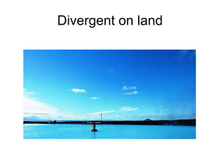 Divergent on land 