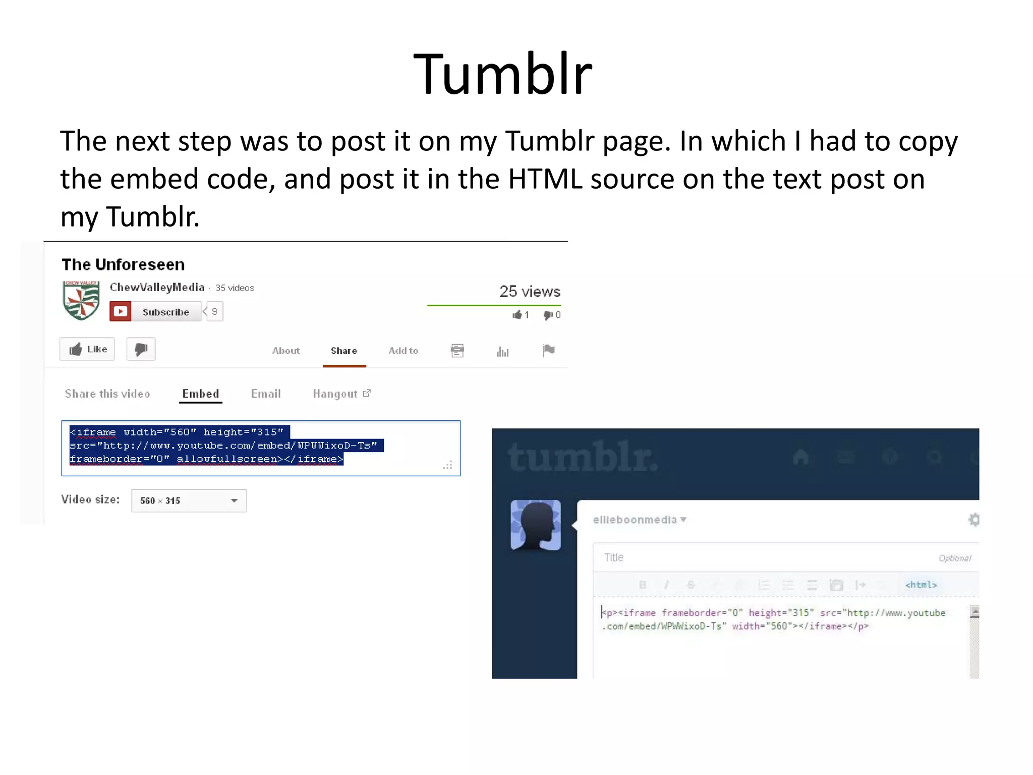 The next step was to post it on my Tumblr page. In which I had to copy
the embed code, and post it in the HTML source on the text post on
my Tumblr.
Tumblr
 