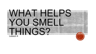 WHAT HELPS
YOU SMELL
THINGS?
Lesson 4
 