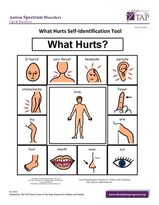 Autism Spectrum Disorders
Tips & Resources
                                                                                                       Social Guide 2

                                What Hurts Self‐Identification Tool 
                                                  




Rev.0612
Prepared by: The TAP Service Center at The Hope Institute for Children and Families   www.theautismprogram.org
 