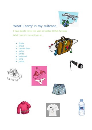 What I carry in my suitcase
I have plan to travel this year on holiday at Park Tayrona

What I carry in my suitcase is:



      Boots
      Short
      canned food
      water
      shirts
      swimsuit
      lamp
      jacket
 
