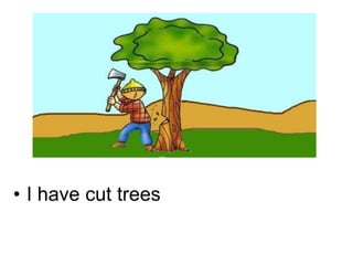 • I have cut trees
 