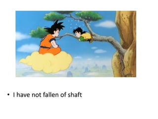 • I have not fallen of shaft
 