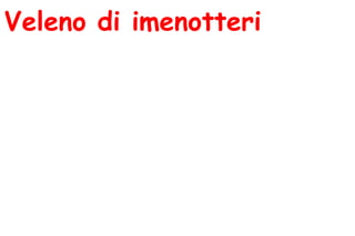 Veleno di imenotteri
 