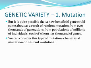 GENETIC VARIETY – 1. MutationBut it is quite possible that a new beneficial gene could come about as a result of random mutation from over thousands of generations from populations of millions of individuals, each of whom has thousand of genes.We can consider this type of mutation a beneficial mutation or neutral mutation.
