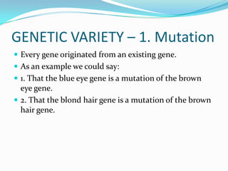 GENETIC VARIETY – 1. MutationEvery gene originated from an existing gene.As an example we could say:1. That the blue eye gene is a mutation of the brown eye gene.2. That the blond hair gene is a mutation of the brown hair gene.