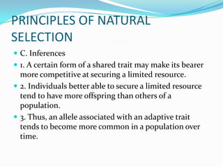 PRINCIPLES OF NATURAL SELECTIONC. Inferences1. A certain form of a shared trait may make its bearer more competitive at securing a limited resource.2. Individuals better able to secure a limited resource tend to have more offspring than others of a population.3. Thus, an allele associated with an adaptive trait tends to become more common in a population over time.