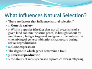 What Influences Natural Selection?There are factors that influence natural selection?1. Genetic variety > Within a species (the fact that not all organisms of a given kind contain the same genes) is brought about by mutations (changes to genes) and genetic recombination (the mixing of gene combinations that occurs during sexual reproduction).2. Gene expressionThe degree to which genes determine a trait.3. Excess reproduction> the ability of most species to reproduce excess offspring. 