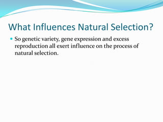What Influences Natural Selection?So genetic variety, gene expression and excess reproduction all exert influence on the process of natural selection.
