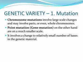 GENETIC VARIETY – 1. MutationChromosome mutations involve large scale changes and may involve parts, or even, whole chromosomes.Point mutation (Gene mutation) on the other hand are on a much smaller scale.It involves a change to relatively small number of bases in the genetic material.