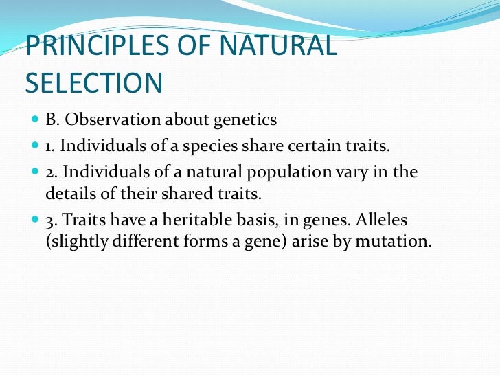 Main Principles Of Natural Selection Main Principles Of Natural Selection