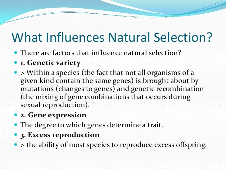 What influences natural selection