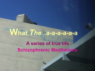 W hat  T he … a-a-a-a-a-a A series of true life Schizophrenic Meditations 