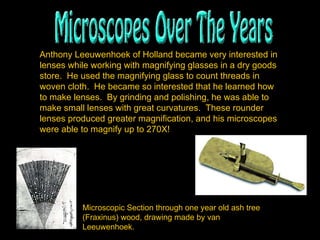Anthony Leeuwenhoek of Holland became very interested in lenses while working with magnifying glasses in a dry goods store.  He used the magnifying glass to count threads in woven cloth.  He became so interested that he learned how to make lenses.  By grinding and polishing, he was able to make small lenses with great curvatures.  These rounder lenses produced greater magnification, and his microscopes were able to magnify up to 270X! Microscopic Section through one year old ash tree (Fraxinus) wood, drawing made by van Leeuwenhoek.   