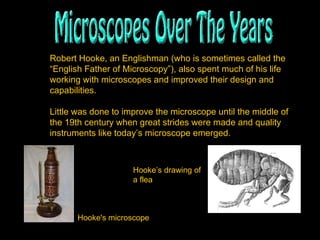 Robert Hooke, an Englishman (who is sometimes called the “English Father of Microscopy”), also spent much of his life working with microscopes and improved their design and capabilities. Little was done to improve the microscope until the middle of the 19th century when great strides were made and quality instruments like today’s microscope emerged. Hooke's microscope   Hooke’s drawing of  a flea  
