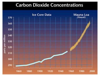 What in the world is going on web