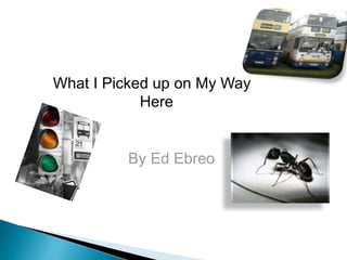 What I Picked up on My Way 
Here 
By Ed Ebreo 
 