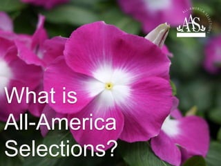 What is
All-America
Selections?
 