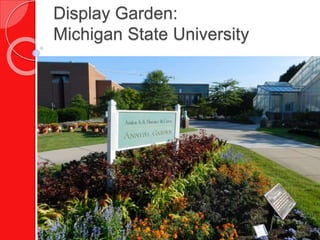 Display Garden:
Michigan State University
 